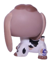 #2207 Beagle